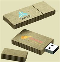 CHIAVETTA USB CARDBOARD PRIORITY